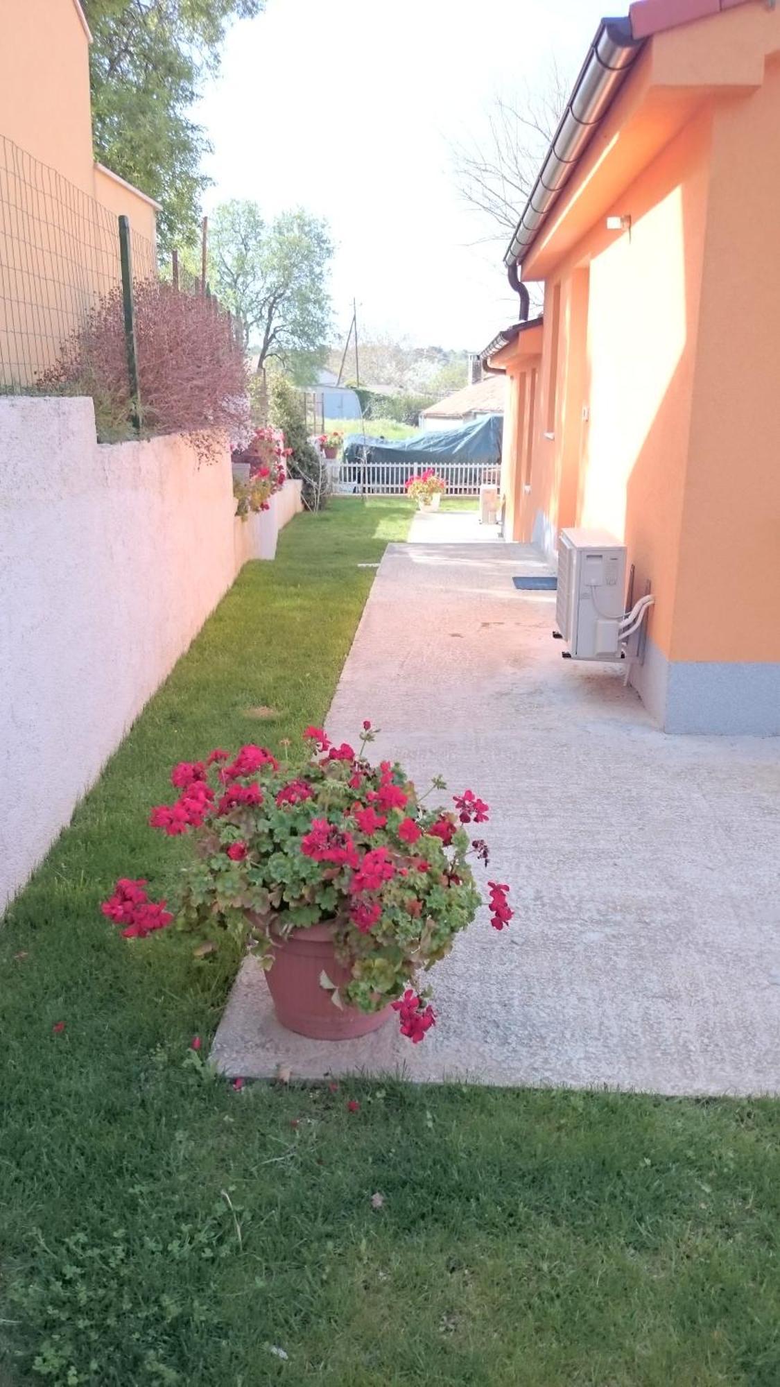 Apartment Shankini Pola Esterno foto